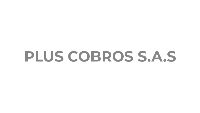 You are currently viewing PLUS COBROS S.A.S